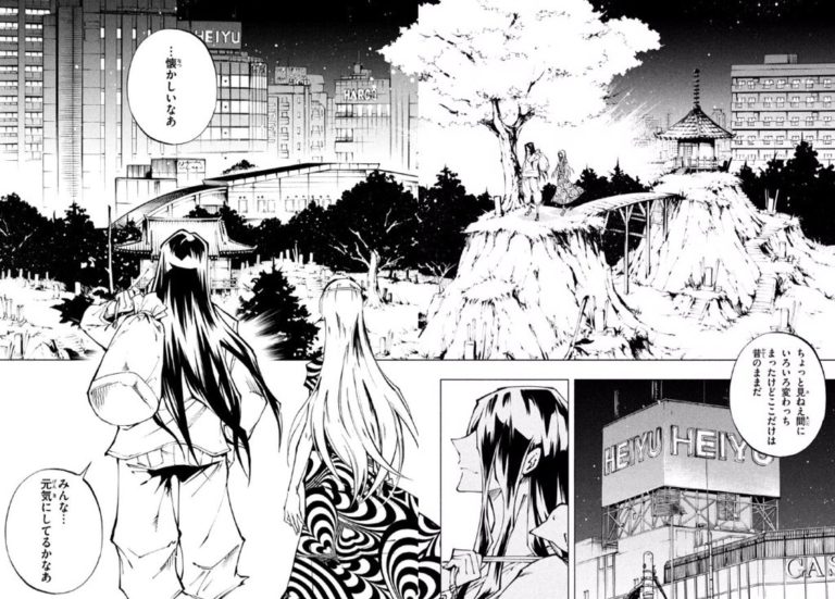 Shaman King Manga